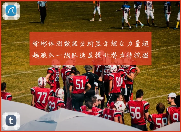徐彬体测数据分析显示综合力量超越狼队一线队速度提升潜力待挖掘