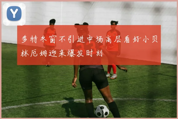 多特冬窗不引进中场高层看好小贝林厄姆迎来爆发时刻