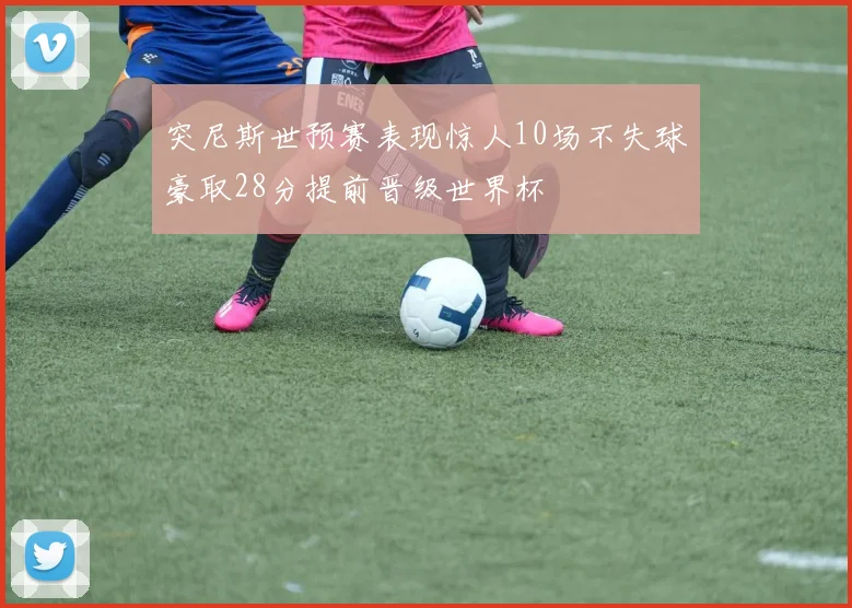 突尼斯世预赛表现惊人10场不失球豪取28分提前晋级世界杯