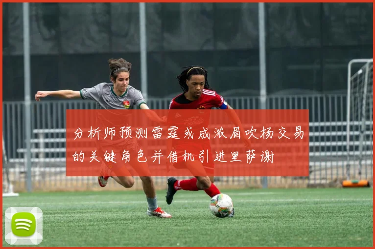 分析师预测雷霆或成浓眉吹杨交易的关键角色并借机引进里萨谢