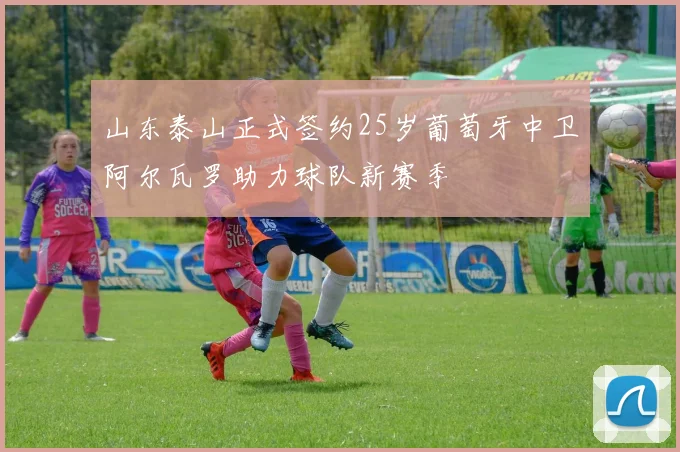 山东泰山正式签约25岁葡萄牙中卫阿尔瓦罗助力球队新赛季