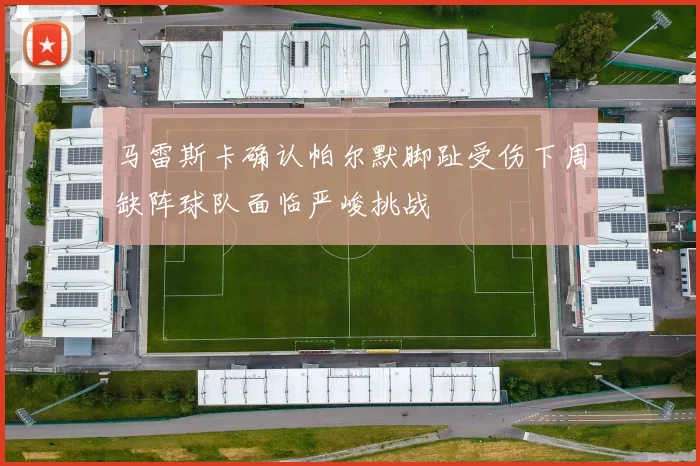 马雷斯卡确认帕尔默脚趾受伤下周缺阵球队面临严峻挑战